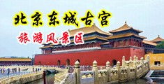 男操女逼黄毛片中国北京-东城古宫旅游风景区